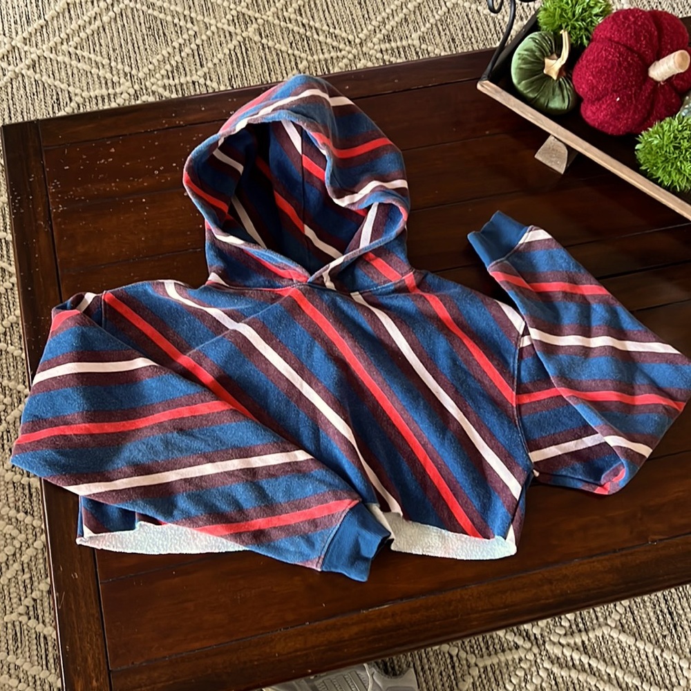Cropped hoodie size Sm in great used condition by Urban Outfitters